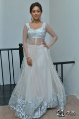 Anu Emmanuel at Kittu Unnaadu Jagratha Movie Gummadikaya Function